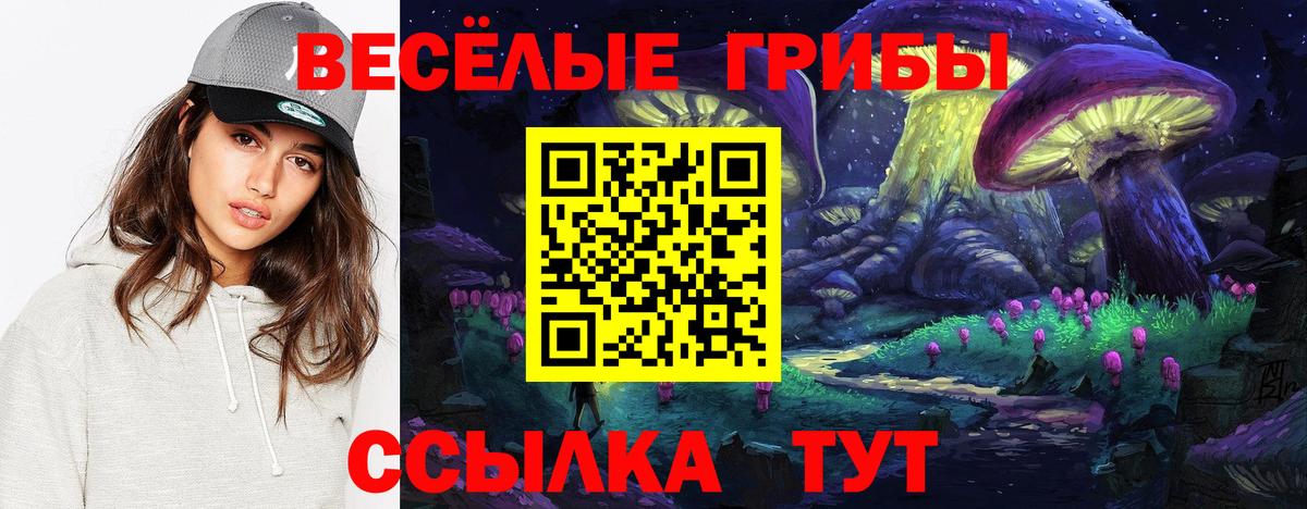Псилоцибиновые грибы Magic Shrooms  Галлюциногенные грибы Psilocybine cubensis  Вход с VPN  Ейск 