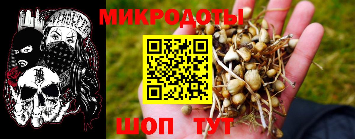 Галлюциногенные грибы MAGIC MUSHROOMS Ейск
